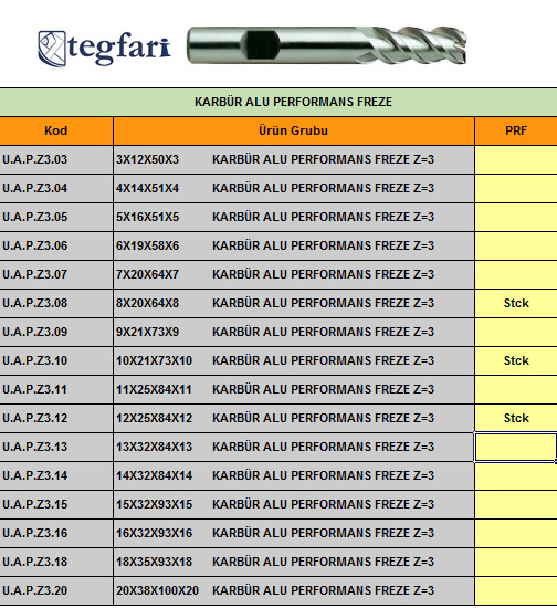 PERFORMANS